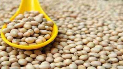 Soya, kadınlar için gerçek