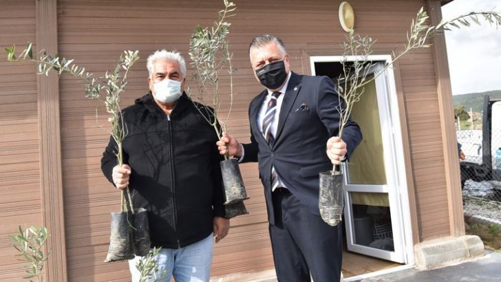 Bornova’da üreticilere 5 bin fidan takviyesi