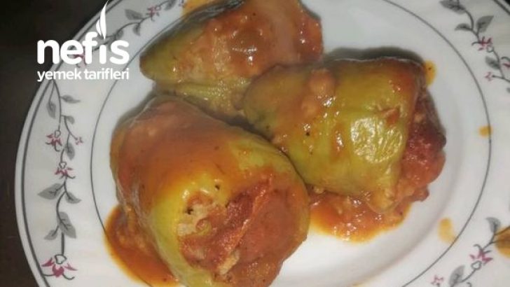 Dolmabiber