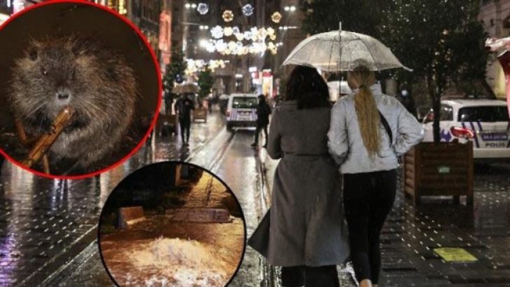 İzmir, İstanbul ve Çanakkale’de tesirli olan sağanak, hayatı olumsuz etkiledi