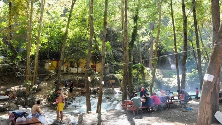 İzmir’de Valilik kararıyla ormanlarda piknik yasaklandı