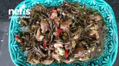 Nefis Zahter Salatası