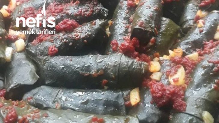 Pancar Yaprağı Sarması