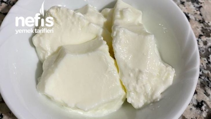 Taş Gibi Ev Yoğurdu