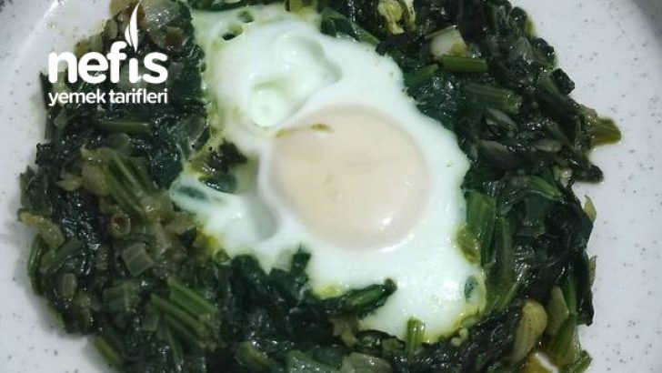 Yumurtalı Ispanak