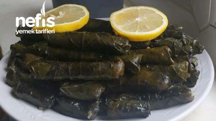 Zeytin Yağlı Yaprak Sarma