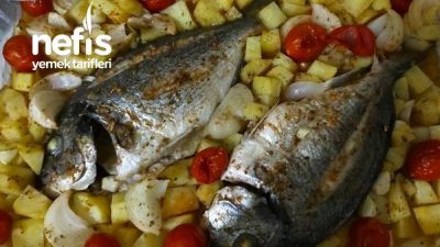 Fırında Çupra
