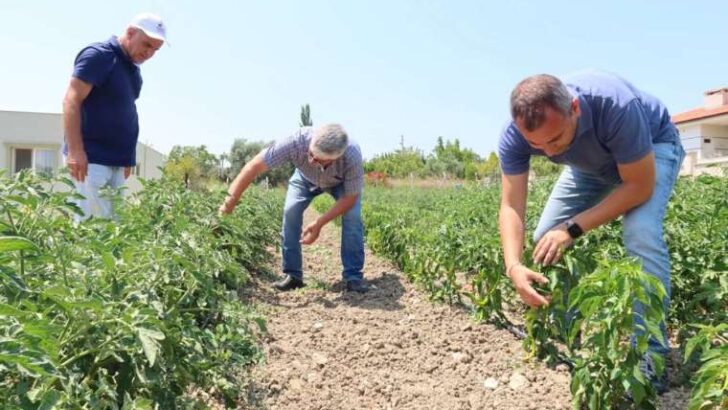 Bornova’da üreticiye teknik takviye