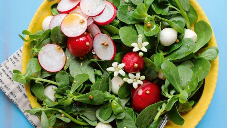 Kişniş Aromalı Semizotu Salatası