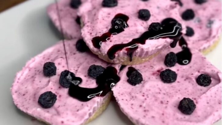 Mini Raw Cheesecake