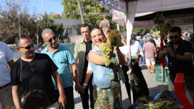 Osmancık üzümü coğrafik işaret alıyor