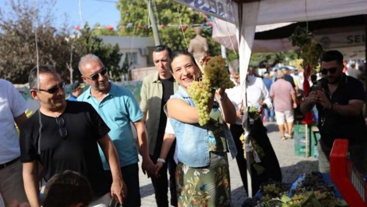Osmancık üzümü coğrafik işaret alıyor