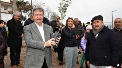 Bornova Belediyesi’nden zeytincilik eğitimi