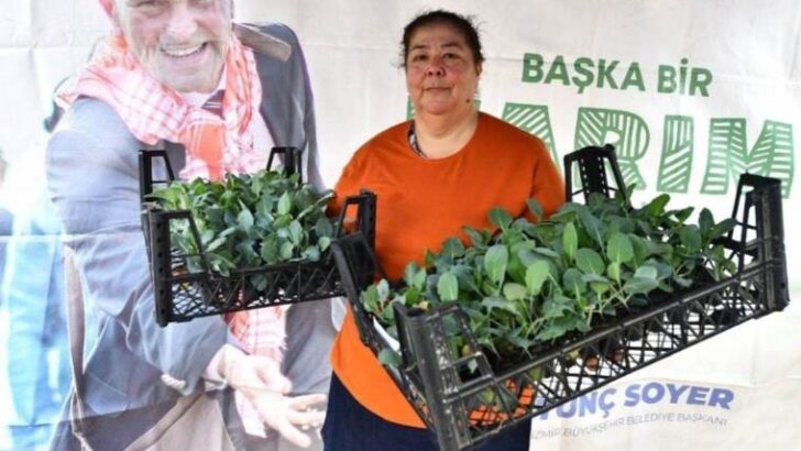 İzmir’de 100 bin atalık kışlık zerzevat fidesi üreticiye dağıtıldı