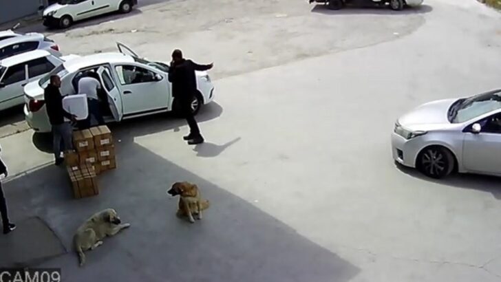 Kargo firması şubesine operasyon: Uyuşturucu ele geçirildi!