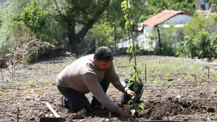 Lider Eşki: Tarlada eser bırakmayacağız
