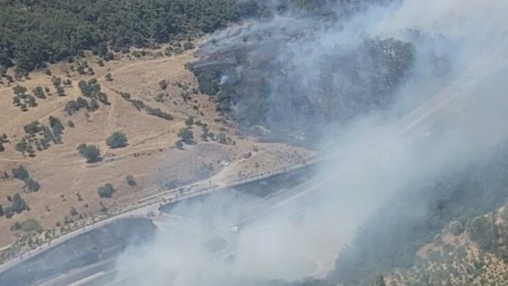 İzmir’de orman yangını: Tüneller trafiğe kapandı!