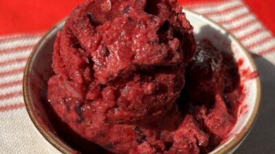 Orman Meyveli Ev Yapımı Dondurma