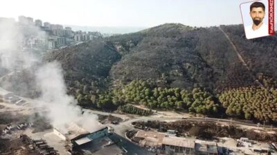 Yanan toprakların niteliklerinin değiştirilerek ranta açılmasına reaksiyon gösterildi: Orman için yasa daveti