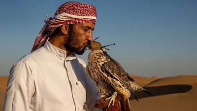 4 Kısımlık ‘Vahşi Arabistan’ 21 Eylül Cumartesi Günü 20.00’de National Geographic WILD Ekranlarında Başlıyor!