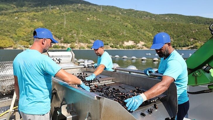 CarrefourSA’dan Mavi İktisat ile Sürdürülebilir Deniz Eserleri Atağı