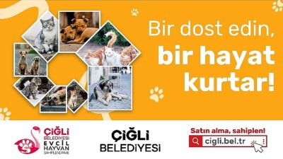 Çiğli Belediyesi’nin Sahiplendirme Platformu Hizmete Girdi