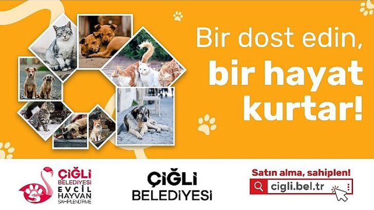 Çiğli Belediyesi’nin Sahiplendirme Platformu Hizmete Girdi