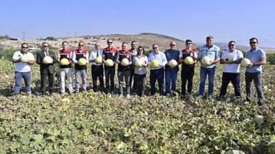 Foça’da 5. Geleneksel Kavun Hasat Şenliği Coşkuyla Kutlandı