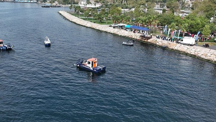 Hereke kıyısında kıyı ve deniz paklığı