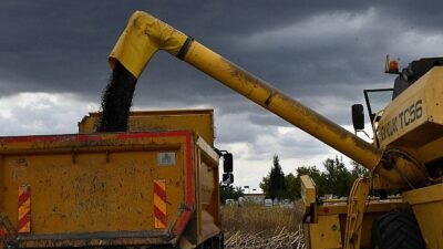 Lüleburgaz Belediyesi’nden ayçiçek hasadı