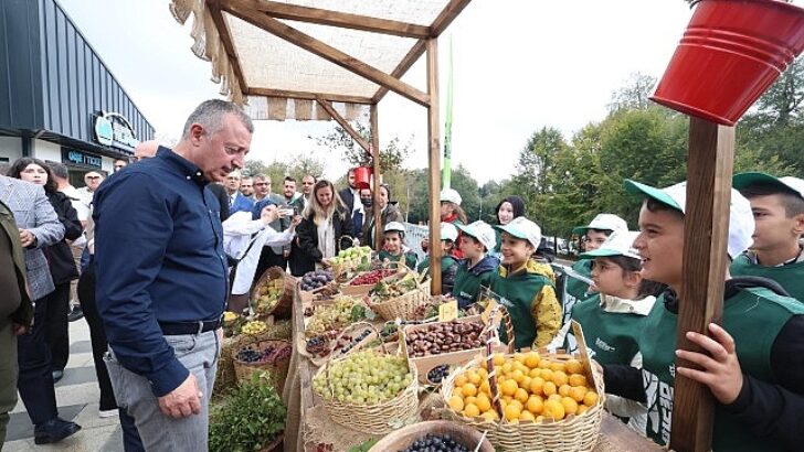 Samanlı Dağlarına 10 Kızıl geyik salındı; Tabiat dostu Büyükşehir ekosistemi koruyor