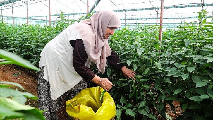 Antalya Büyükşehir Belediyesi’nden üreticilere 2024 yılında 85 milyonluk güç takviyesi