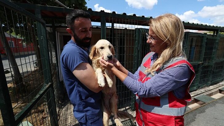 Bakırköy Belediyesi Can Dostlarının Yanında