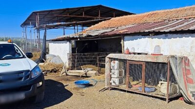 Büyükşehir’den ‘Mavi Dil’ Hastalığına Karşı Çaba
