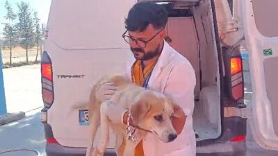 Didim’de Kuyuya Düşen Köpek Belediye Ekiplerince Kurtarıldı