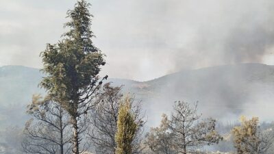 Foça yangını denetim altına alındı