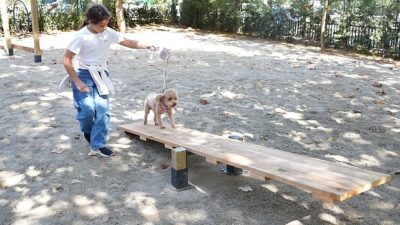 Hayvanları Koruma Günü’nde Kadıköy’de “Pati Park” Açıldı