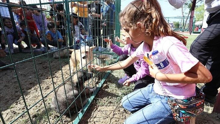 Hayvanları Müdafaa Gününe Renkli Kutlama