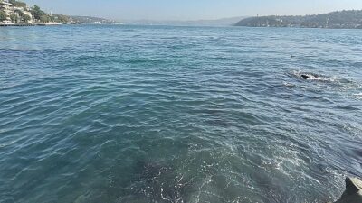 İBB’nin bağlı kuruluşu İstanbul Su ve Kanalizasyon Yönetimi (İSKİ), Baltalimanı’nda boğaza atık su akışı olduğu tezlerini yalanladı