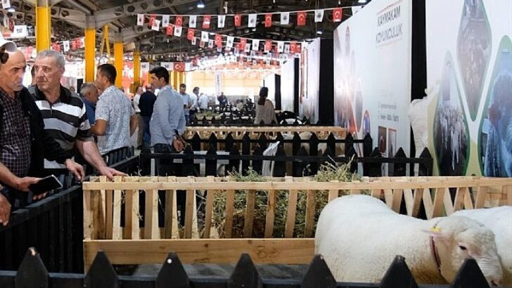 İnegöl’de Küçükbaş Hayvancılık Şenliği Başladı