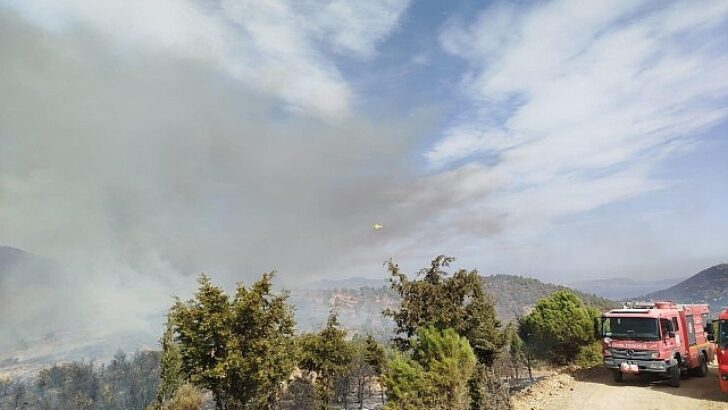 İzmir Büyükşehir Belediyesi takımları Foça’daki yangına müdahaleyi sürdürüyor