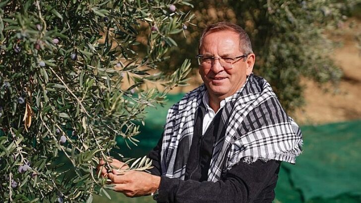 Milletlerarası Ayvalık Zeytin Hasat ve Turizm Şenliği’nden 19’uncu kere “Merhaba”