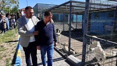 Nevşehir Belediyesi Özel Beşerler Eğitim Merkezi öğrencileri, 4 Ekim Dünya Hayvanları Müdafaa Günü münasebetiyle Nevşehir Hayvan Kasabası’nı ziyaret etti.