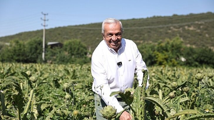 Nilüfer’de tarım ve kooperatifçilik için yeni bir modele yanlışsız