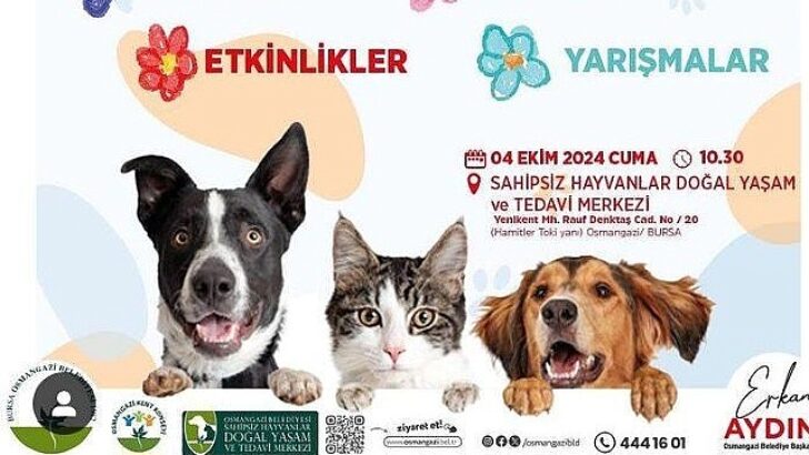 Osmangazi Belediyesi, 4 Ekim Dünya Hayvanları Müdafaa Günü’nde düzenleyeceği bir dizi aktiflik ile hayvan haklarına ve doğal ömrün değerine dikkat çekecek