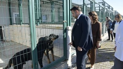 Patili Dostlara Miniklerden Ziyaret