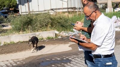 Sahipsiz Köpek Popülasyonu İdaresi İzmir Aksiyon Planı uygulanıyor