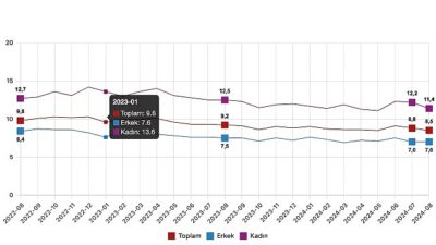 Tüik: Mevsim tesirinden arındırılmış işsizlik oranı %8,5 düzeyinde gerçekleşti