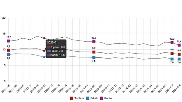 Tüik: Mevsim tesirinden arındırılmış işsizlik oranı %8,5 düzeyinde gerçekleşti