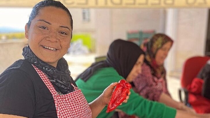 Türkiye’nin Hepsiburada’sı, e-ticaret yapan bayan kooperatifi sayısını iki katına çıkaracak